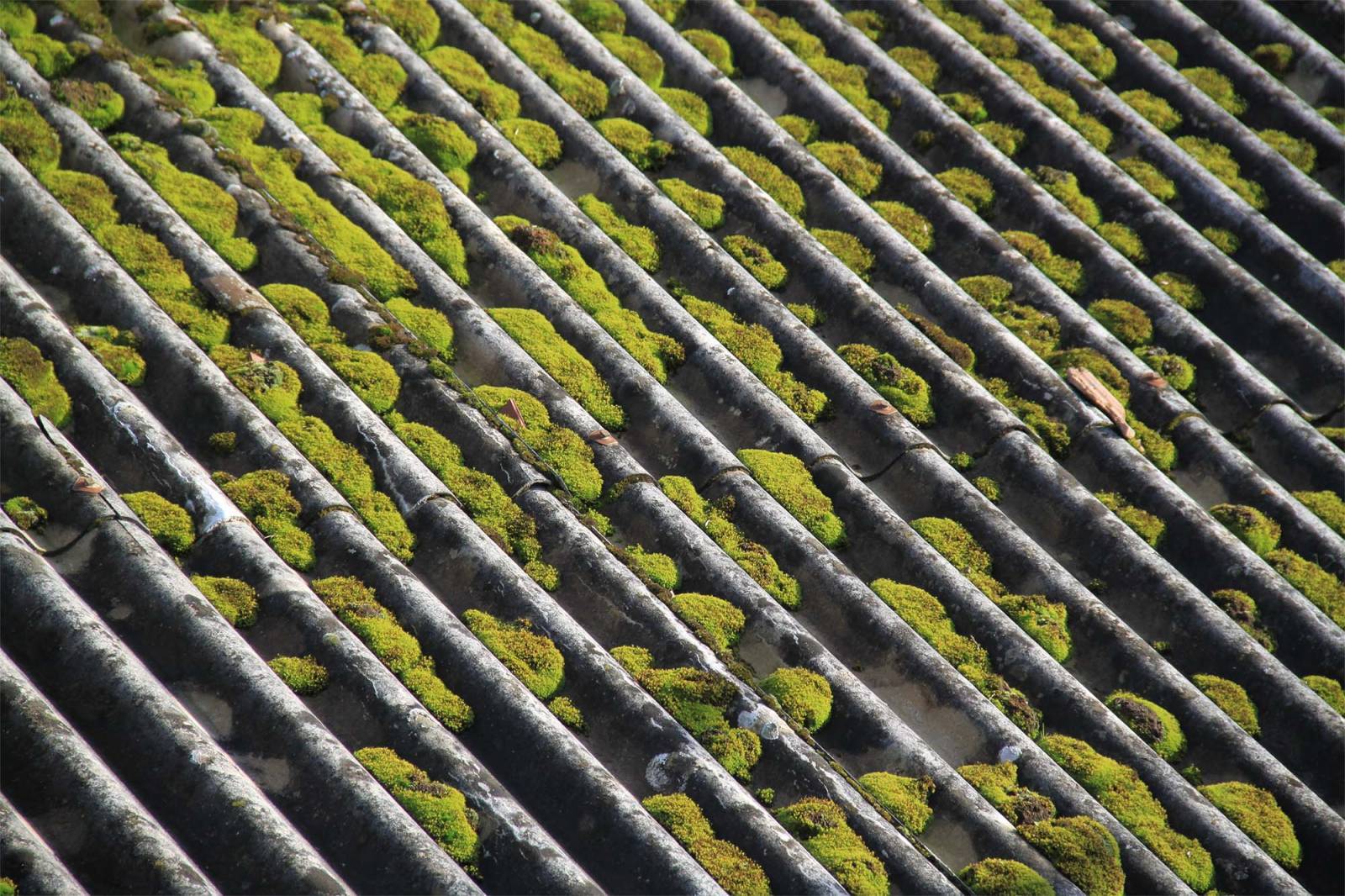 Nettoyage de toiture à Cugnaux et entretien pour une toiture durable